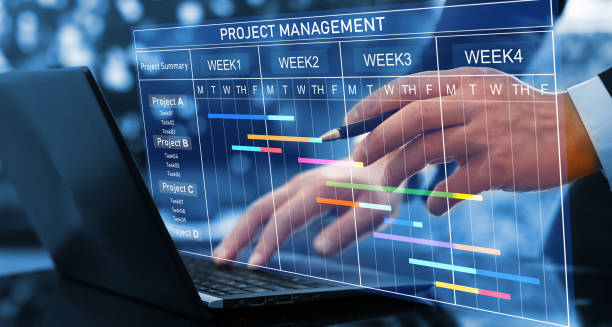 Project Management Services
